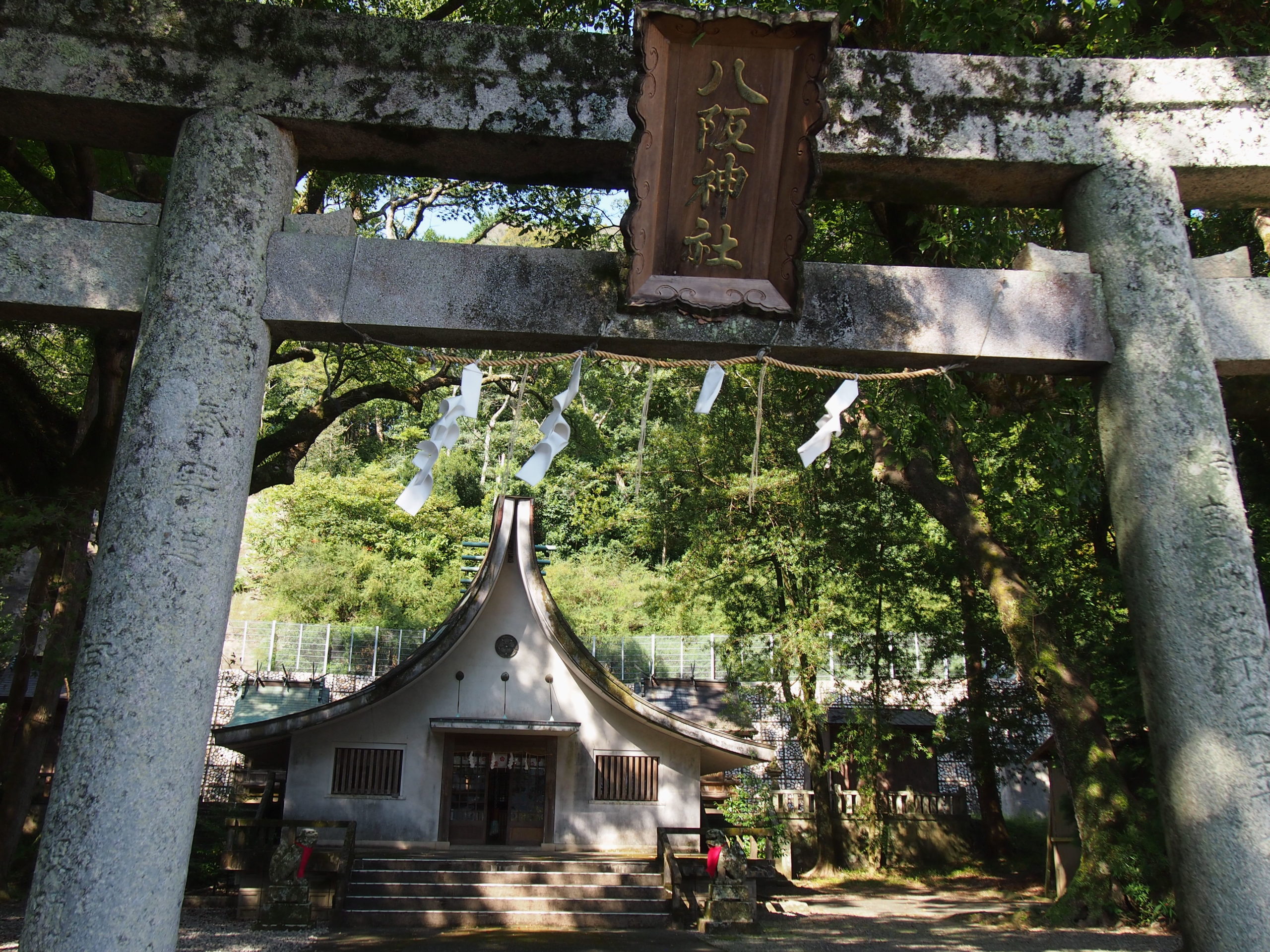 宍喰祇園染　~Shishikui Gion Dye~
