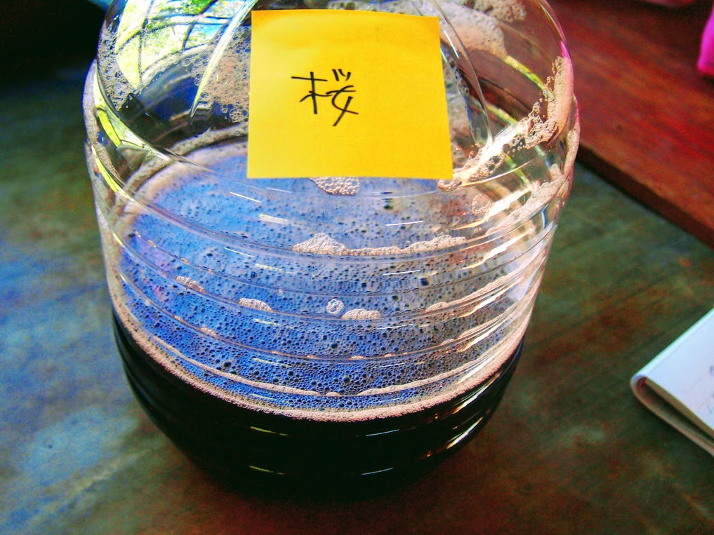 山桜染　徳島得するケン