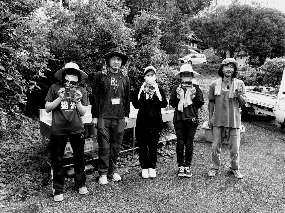 藍収穫の毎日。徳島大学の皆さんが来てくれました。　
