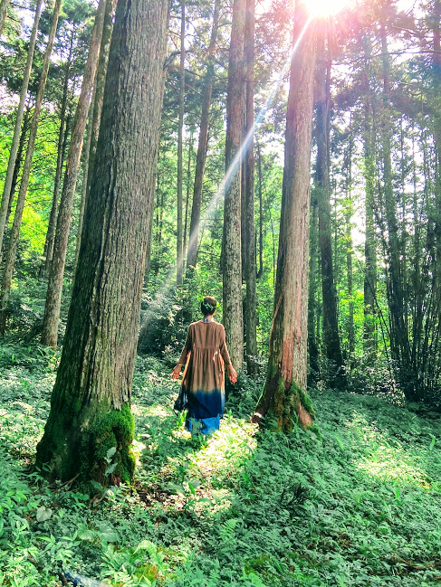 四国放送『フォーカス徳島』で特集されます！